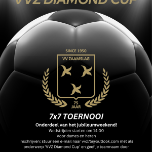 VVZ Diamond Cup